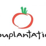 souplantation logo